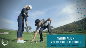Swing align chipping