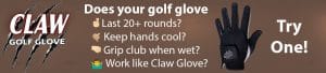 Claw Glove Durable
